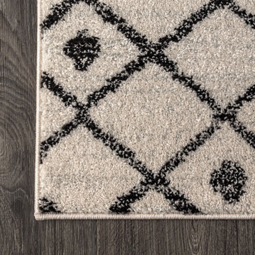Aksil Moroccan Beni Souk Area Rug